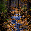 Autumn in Krystofovo udoli